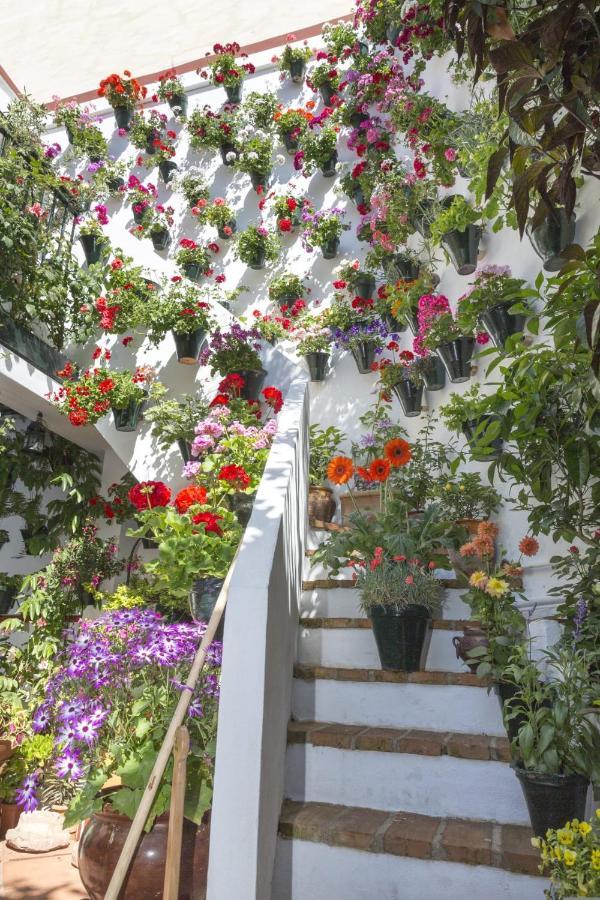 La Casa De Rafalita Cordoba Ngoại thất bức ảnh
